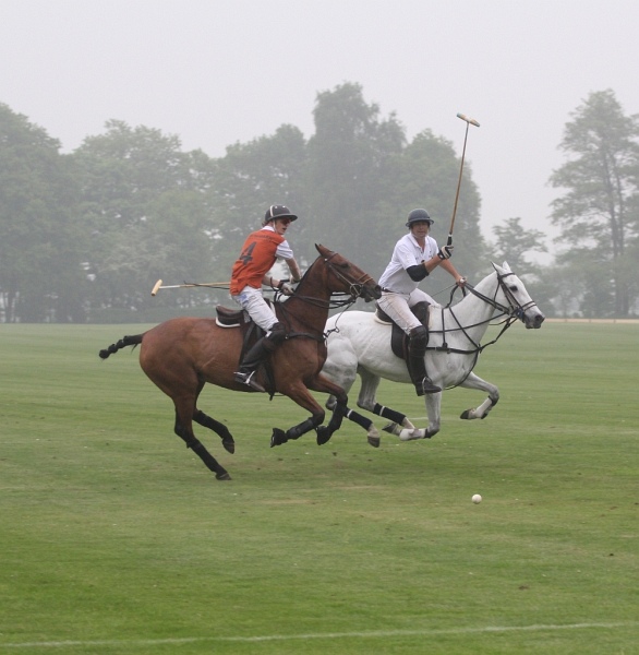 Polo_Art   112.jpg